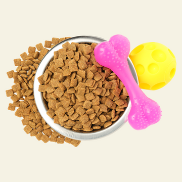 Premium Salmon Dry Cat Food